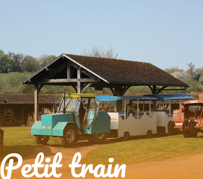 Tour en petit train touristique