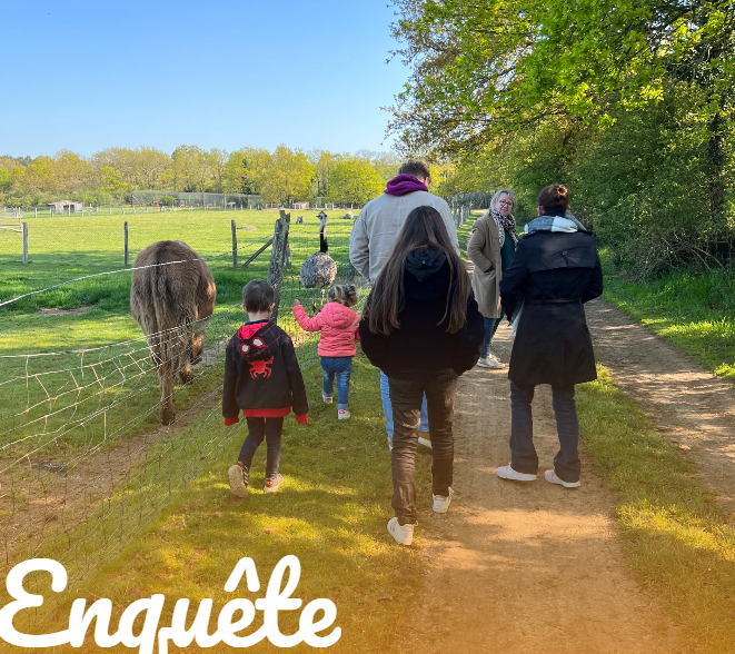 Observation des animaux du parc